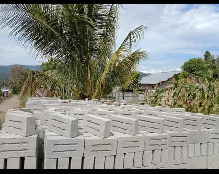 Batako dengan latar pohon kelapa